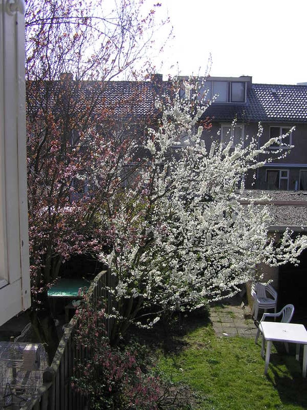 2009-04-03