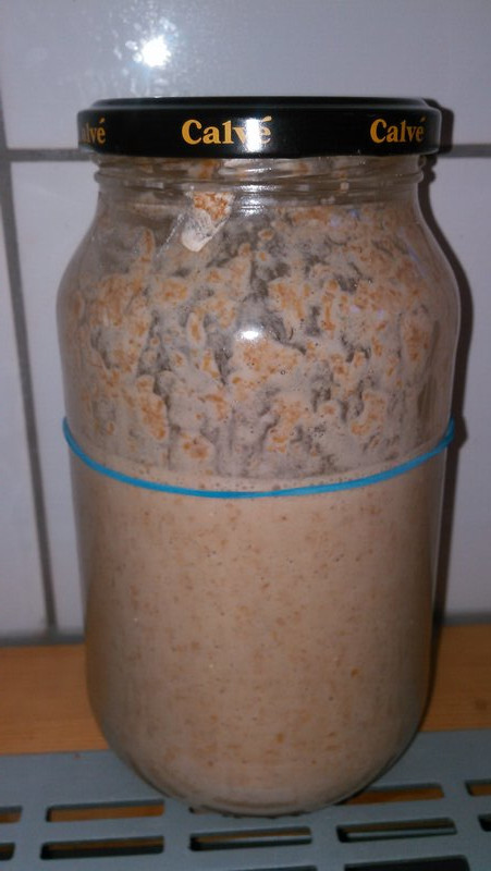 sourdough starter directly after feeding