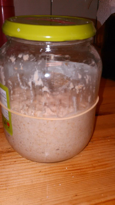 sourdough starter
