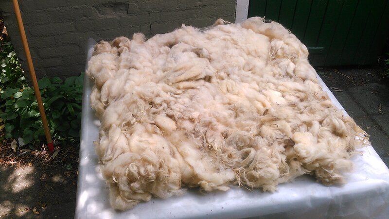 Taking a closer look at the fleece.